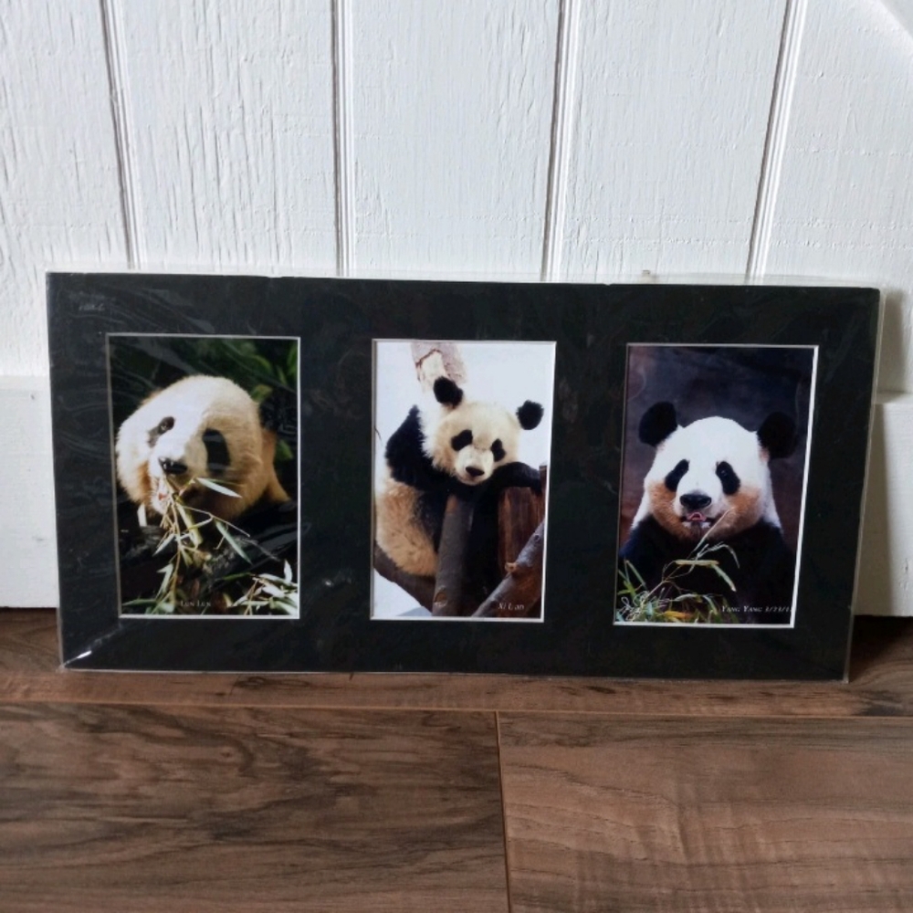 16" X 8" Matted Collage Wildlife Photos Panda Bears